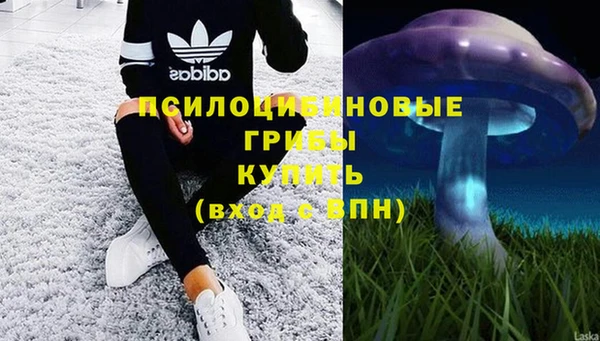 амф Абинск