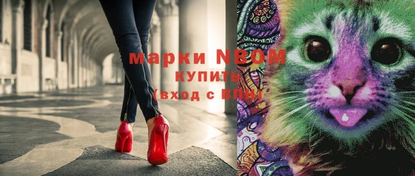 амф Абинск