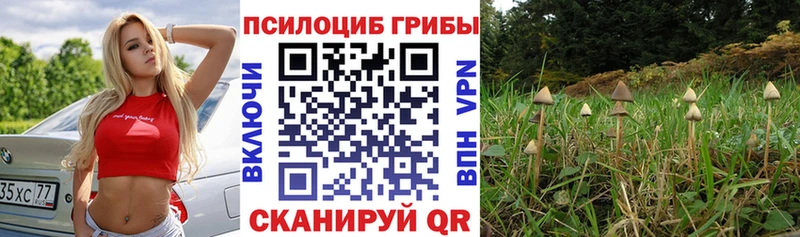 купить закладку  Лосино-Петровский  Галлюциногенные грибы GOLDEN TEACHER 